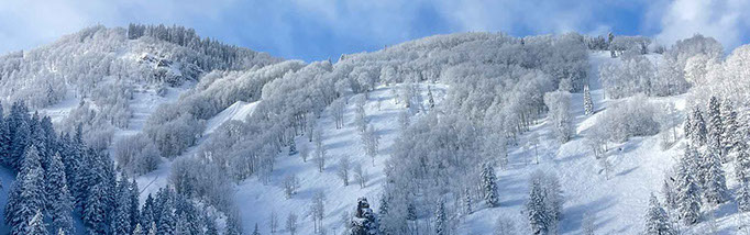 Highland Bowl, Aspen, Colorado ©melegdesign